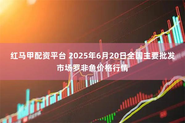 红马甲配资平台 2025年6月20日全国主要批发市场罗非鱼价格行情